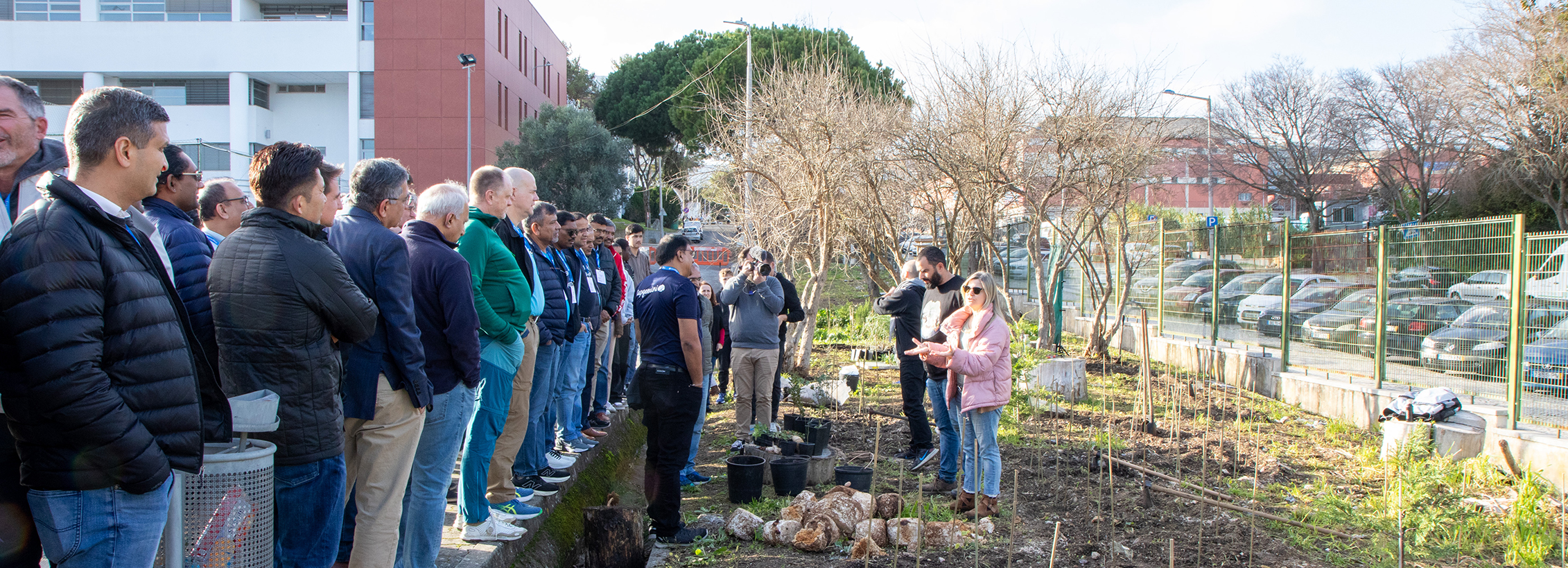 Plantação de 2ª Ilha de biodiversidade no ISEL