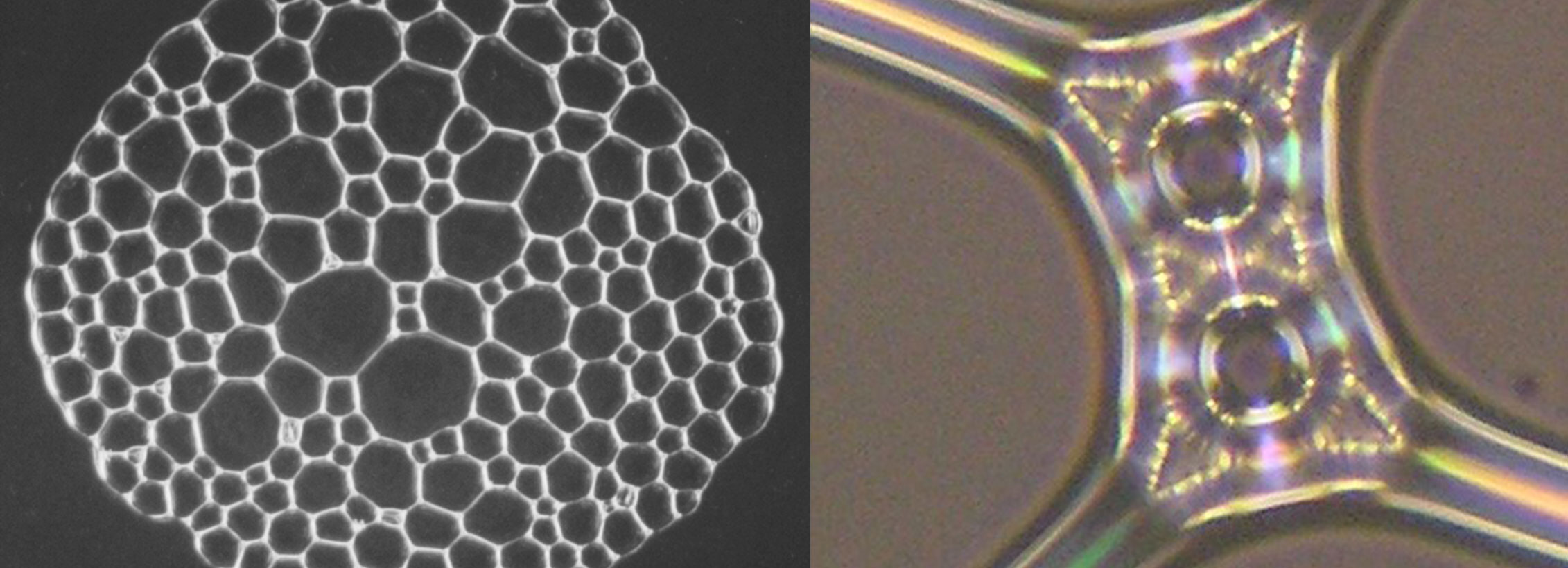 Bolhas, ladrilhos e a catástrofe da salsicha