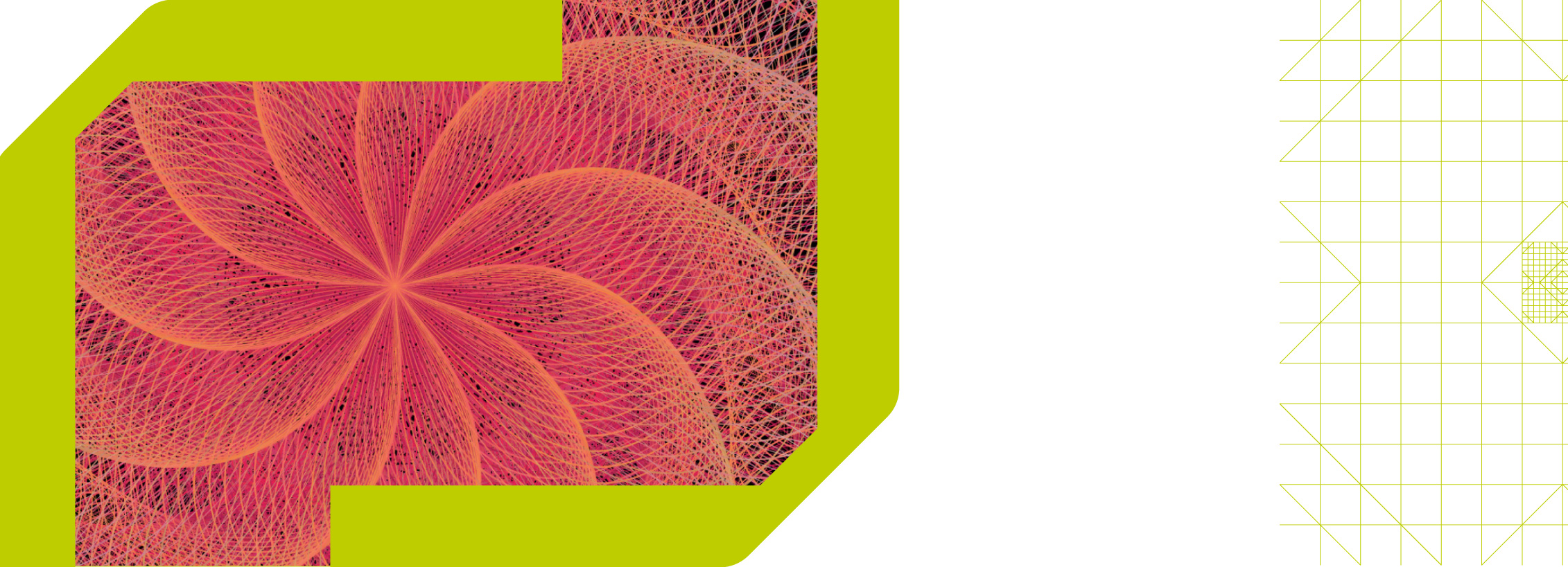 Seminário - Chirality Across Scales: Helicoidal Cellulose Structures from Nature to Adaptive Materials
