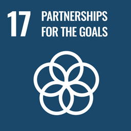 SDG 17 &ndash; Partnerships for the Goals