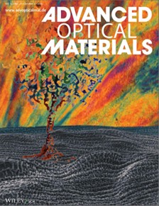 Chirality Across Scales: Helicoidal Cellulose Structures from Nature to Adaptive Materials