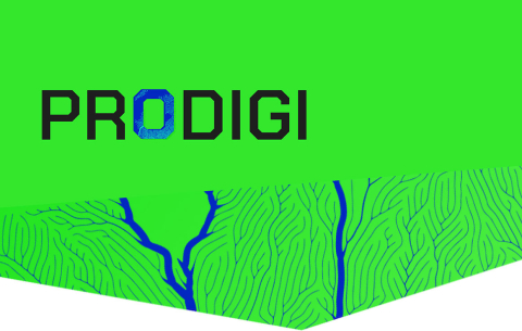 Prodigi