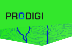 PRODIGI: Rumo ao Futuro – Programa de Formação em Programação, Informação e Cidadania Digital