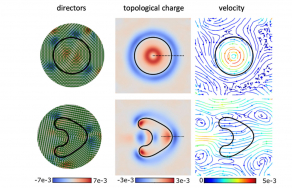 Spontaneous rotation and propulsion of suspended capsules in active nematics