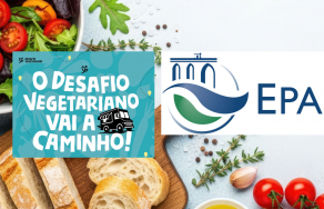 Almoço comunitário sustentável