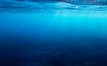 Seminário de Física - Ocean observing