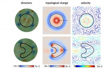 Spontaneous rotation and propulsion of suspended capsules in active nematics
