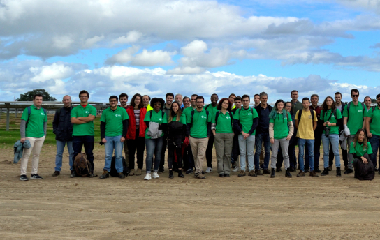 Estudantes de Engenharia Eletrotécnica realizam visita técnica a um parque fotovoltaico 