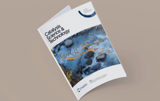  Artigo da Professora Elisabete Alegria na Capa da Catalysis Science & Technology