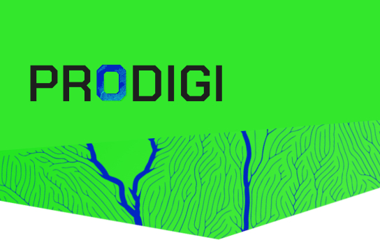 PRODIGI: Rumo ao Futuro – Programa de Formação em Programação, Informação e Cidadania Digital