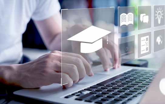 João Gomes Education Researcher 